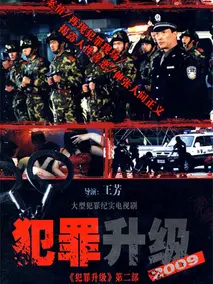 2009犯罪升级