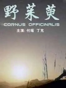 野茱萸