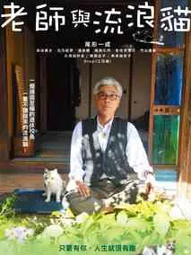 老师与流浪猫