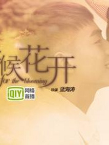 守候花开