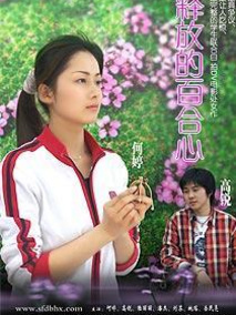 释放的百合心